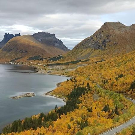 MefjordværNorwegian House Maria Stua公寓 外观 照片