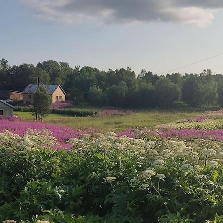 MefjordværNorwegian House Maria Stua公寓 外观 照片