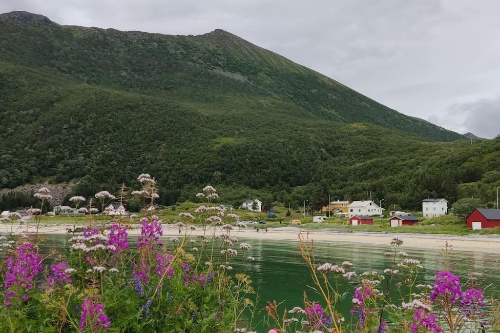 MefjordværNorwegian House Maria Stua公寓 外观 照片
